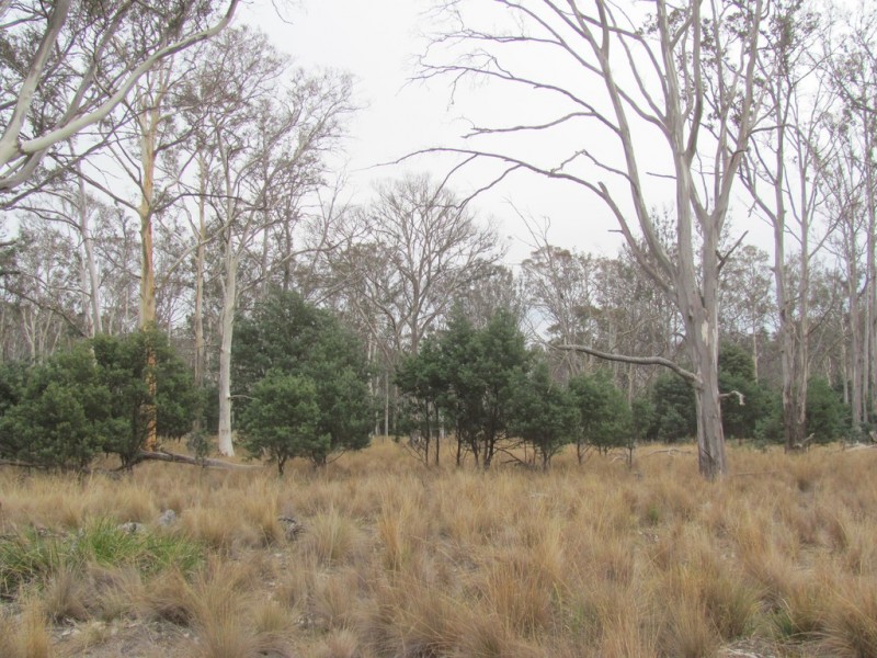 “Trap Hut” Meadsfield Road, Bothwell TAS 7030