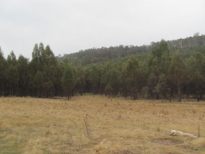 “Trap Hut” Meadsfield Road, Bothwell TAS 7030