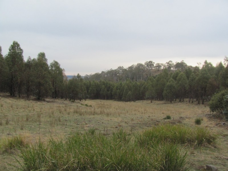 “Trap Hut” Meadsfield Road, Bothwell TAS 7030