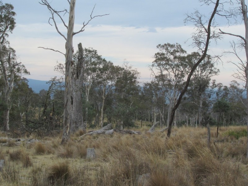 “Trap Hut” Meadsfield Road, Bothwell TAS 7030