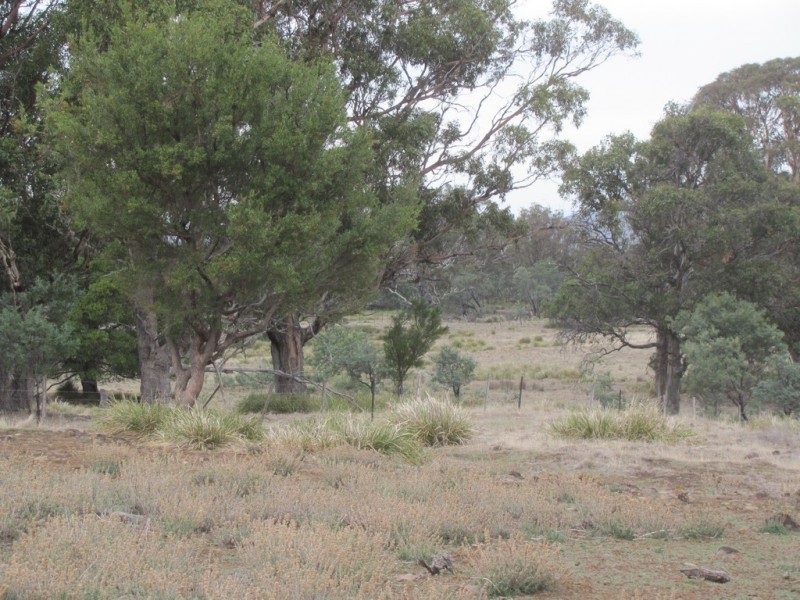 “Trap Hut” Meadsfield Road, Bothwell TAS 7030