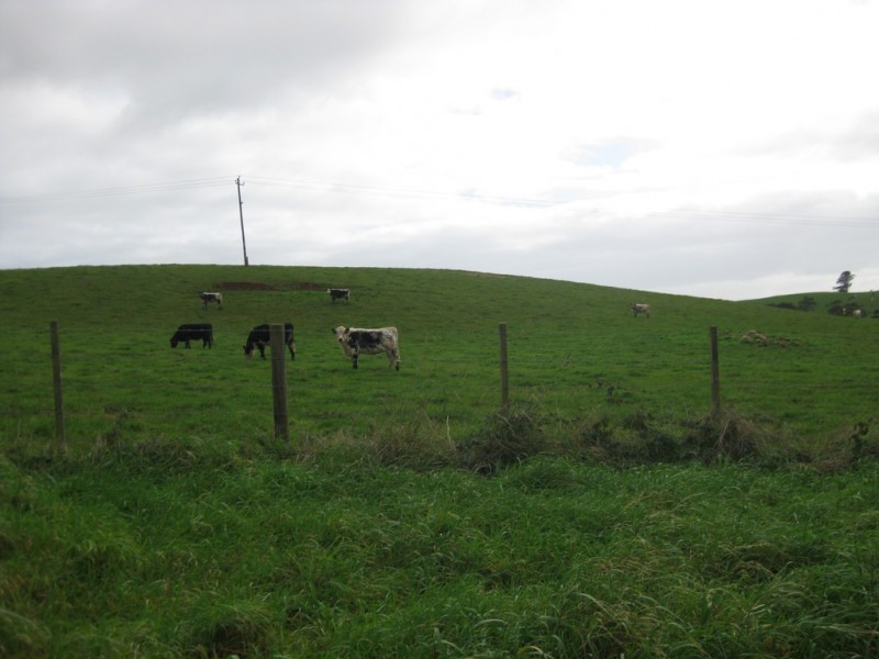 592 South Road, Alcomie TAS 7330