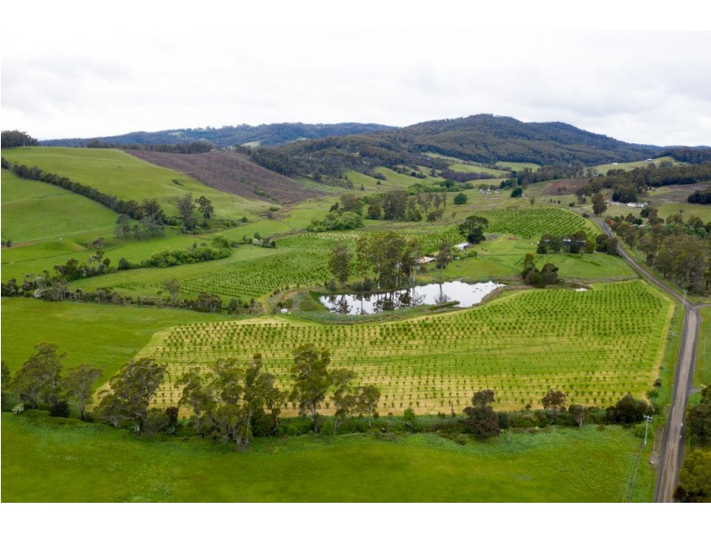 43 Turkey Farm Road, Glengarry TAS 7275