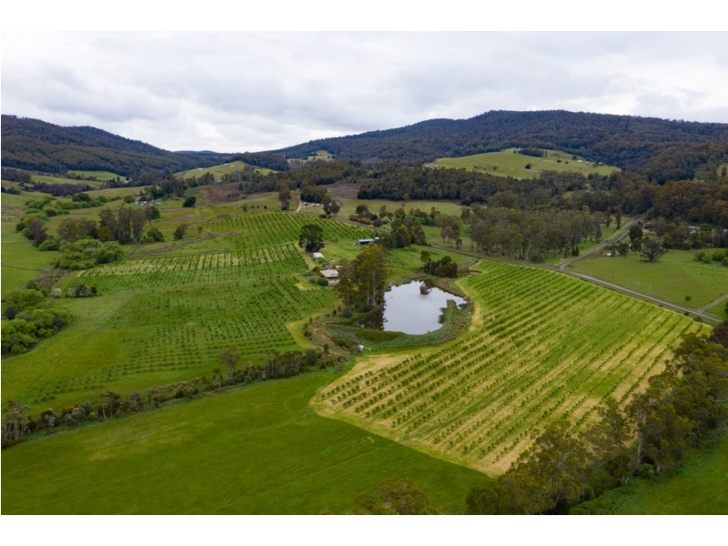 43 Turkey Farm Road, Glengarry TAS 7275