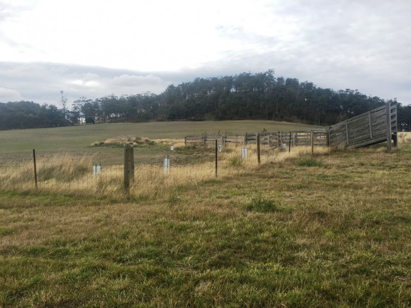 136 Woods Road, Kellevie TAS 7176