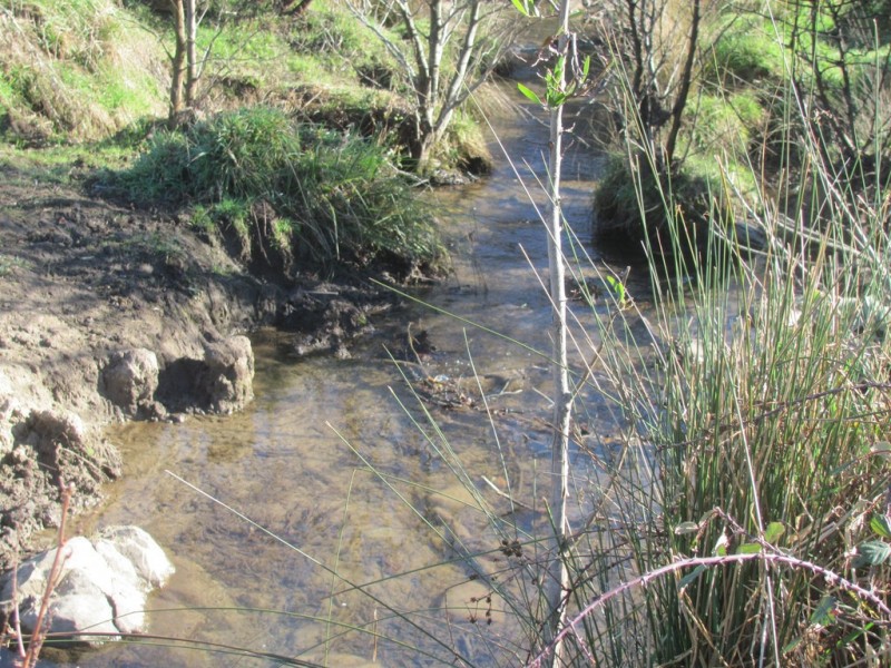 81 Doaks Road, Lilydale TAS 7268