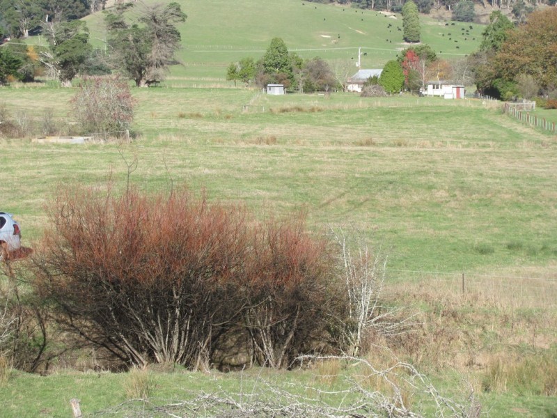 81 Doaks Road, Lilydale TAS 7268