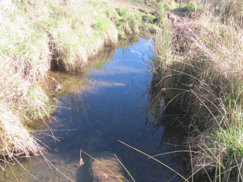 81 Doaks Road, Lilydale TAS 7268