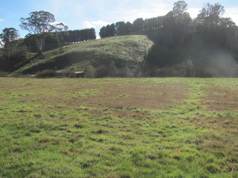 81 Doaks Road, Lilydale TAS 7268