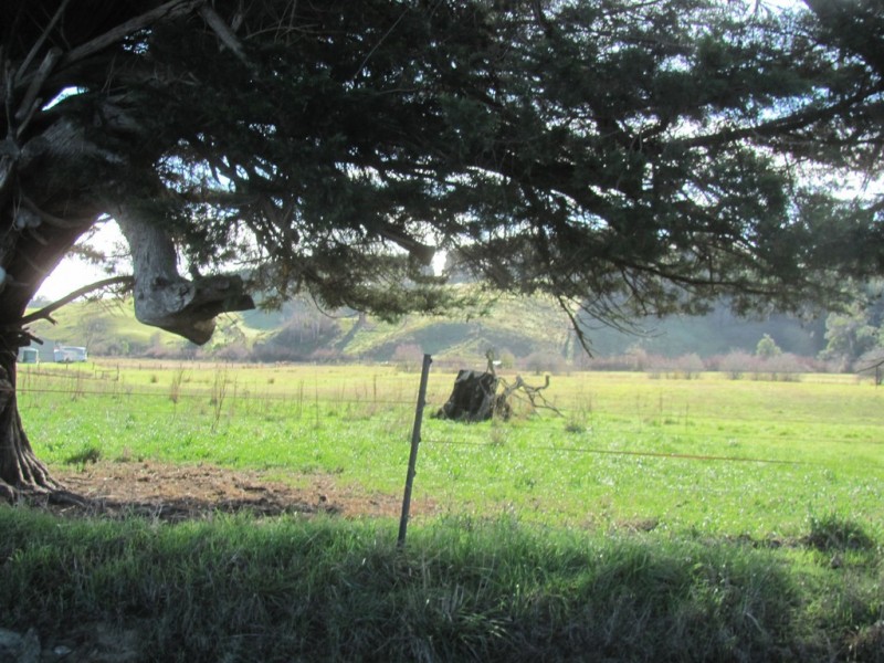 81 Doaks Road, Lilydale TAS 7268