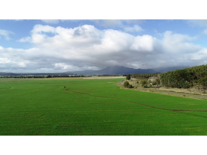 862 Cheshunt Road, Western Creek TAS 7304