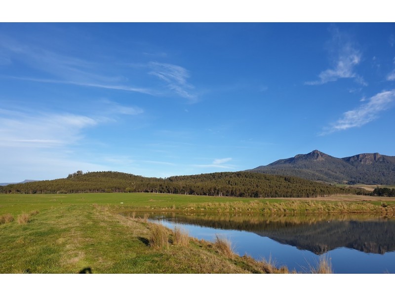 862 Cheshunt Road, Western Creek TAS 7304