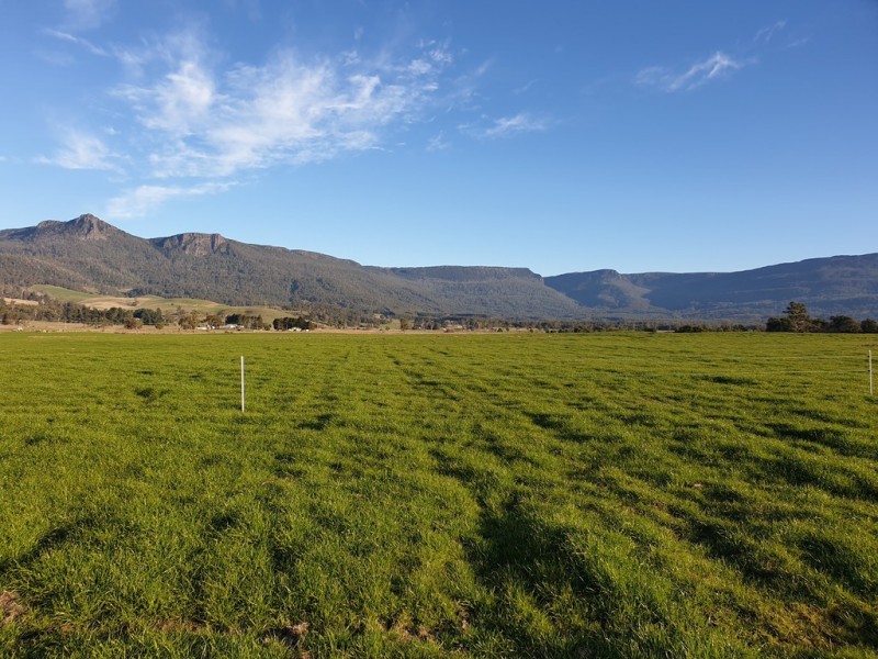 862 Cheshunt Road, Western Creek TAS 7304