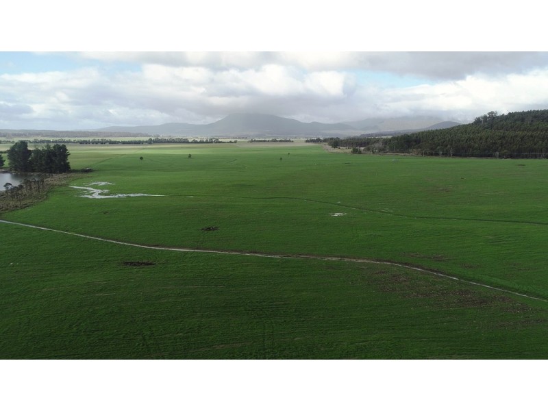 862 Cheshunt Road, Western Creek TAS 7304