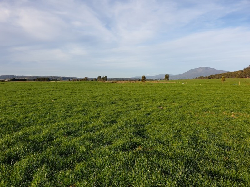 862 Cheshunt Road, Western Creek TAS 7304