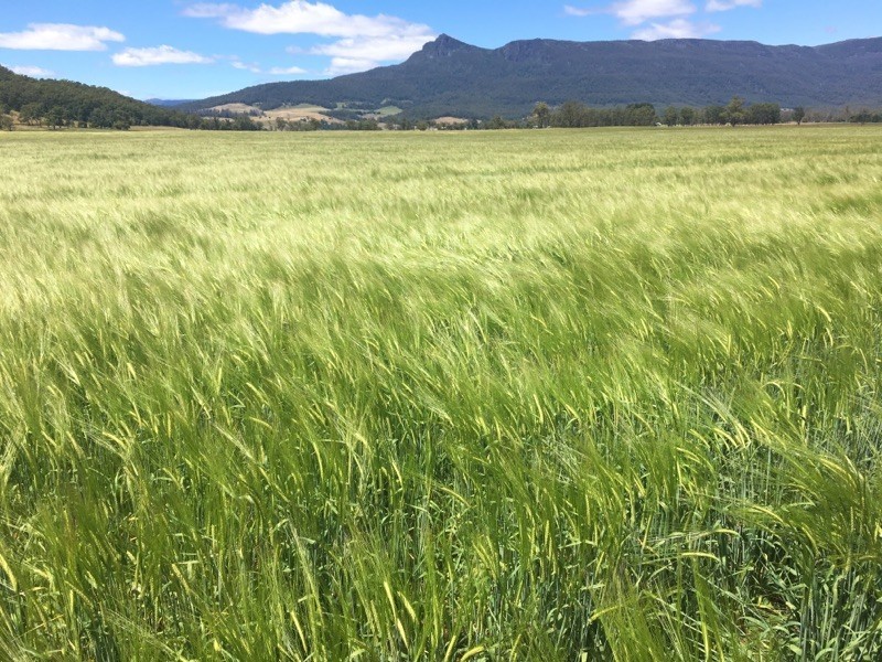 PID 3181150 Dairy Plains Road, Dairy Plains TAS 7304