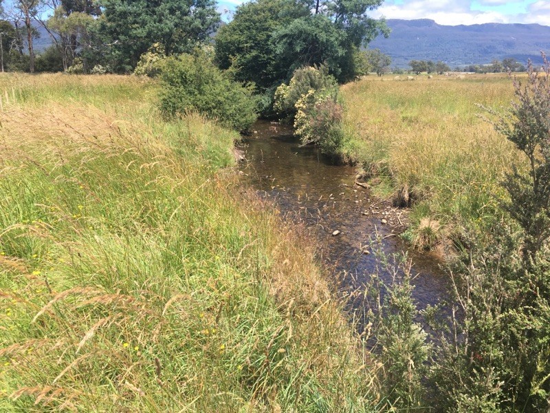 PID 3181150 Dairy Plains Road, Dairy Plains TAS 7304