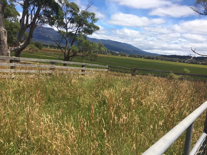 PID 3181150 Dairy Plains Road, Dairy Plains TAS 7304