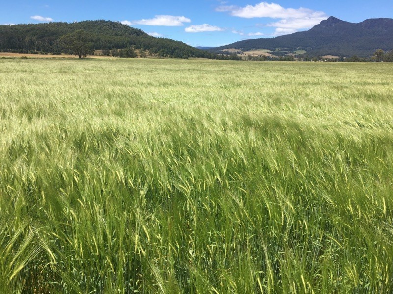 PID 3181150 Dairy Plains Road, Dairy Plains TAS 7304