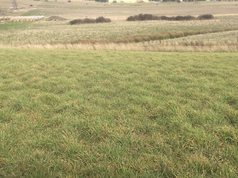 240 Lachlan Road, Lachlan TAS 7140