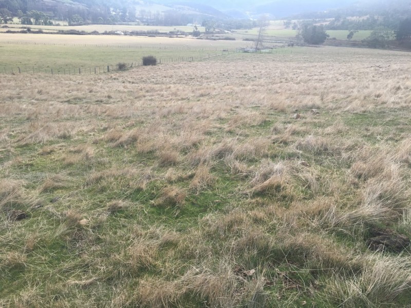 240 Lachlan Road, Lachlan TAS 7140