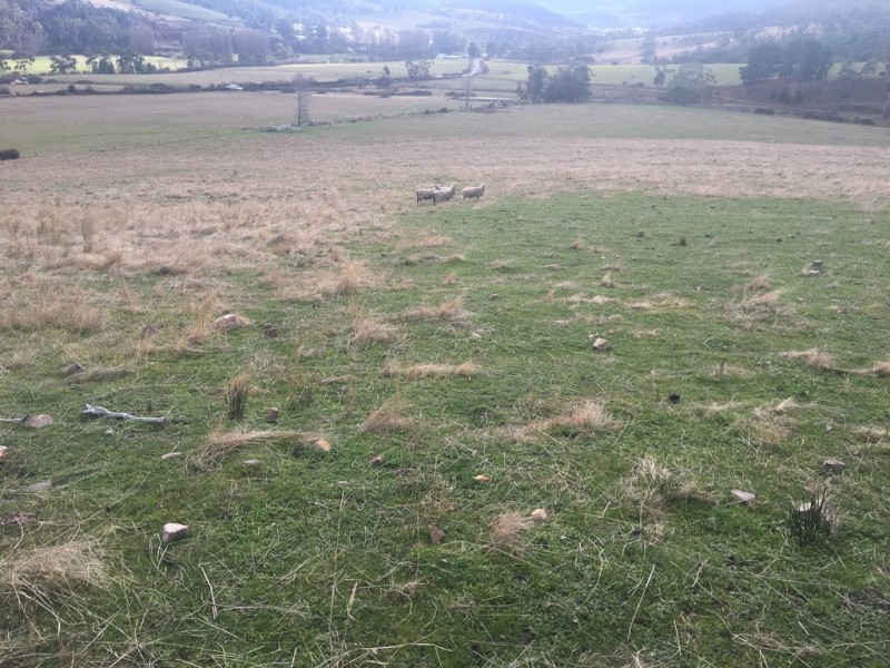 240 Lachlan Road, Lachlan TAS 7140