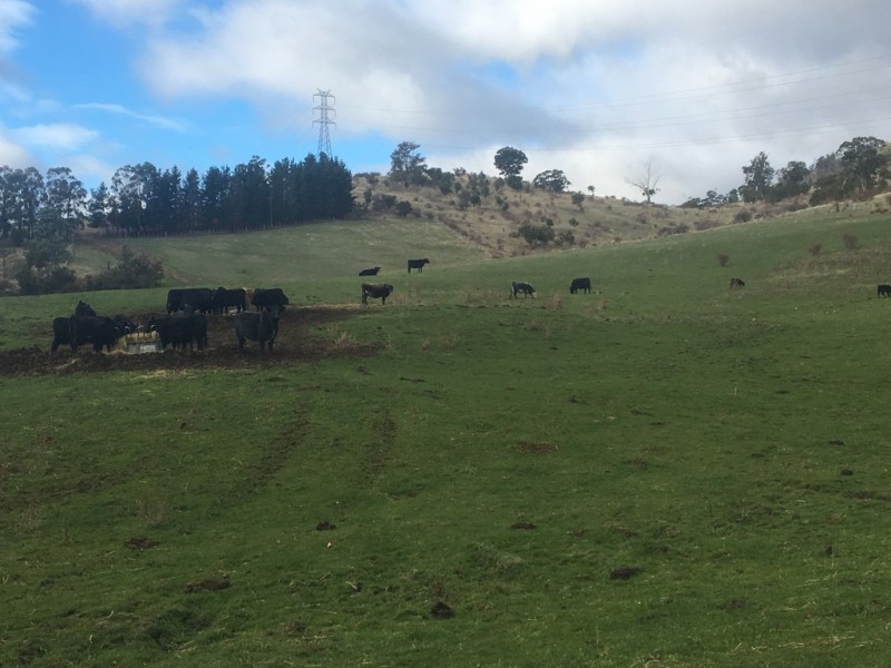 240 Lachlan Road, Lachlan TAS 7140