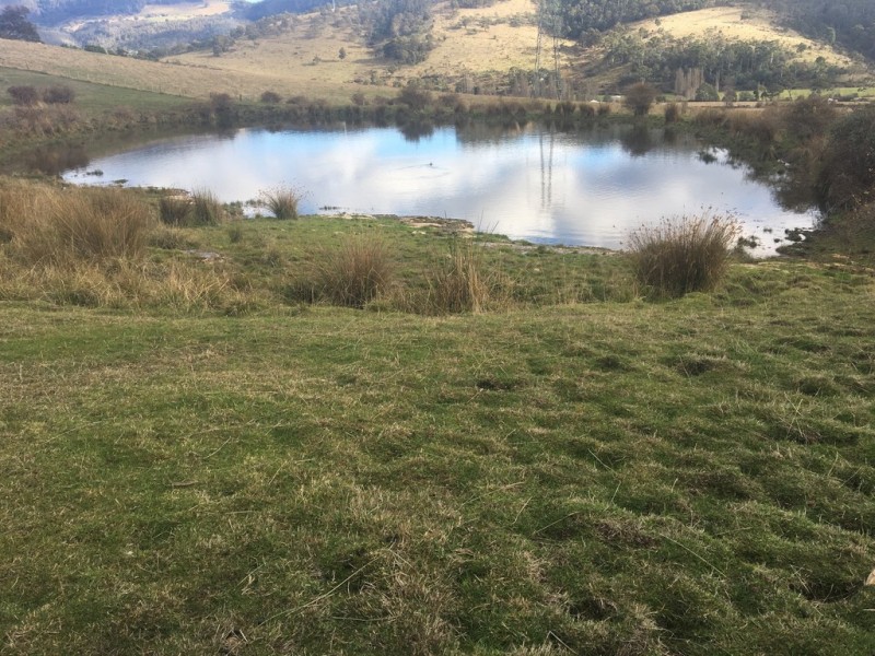 240 Lachlan Road, Lachlan TAS 7140