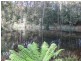 Lot 2, 43 Brakeys Road, Rocky Cape TAS 7321