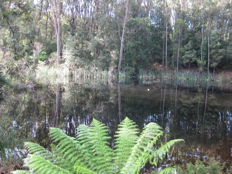 Lot 2, 43 Brakeys Road, Rocky Cape TAS 7321