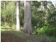 Lot 2, 43 Brakeys Road, Rocky Cape TAS 7321