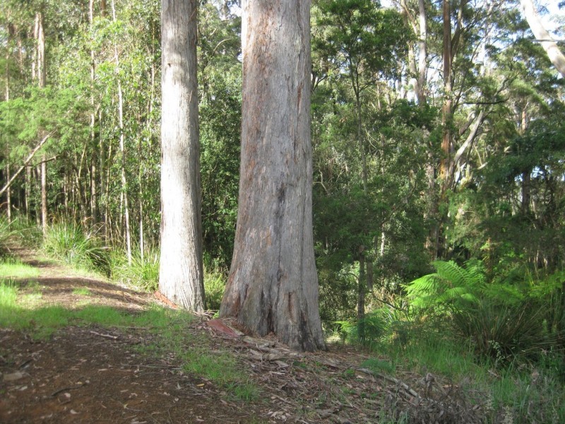 Lot 2, 43 Brakeys Road, Rocky Cape TAS 7321