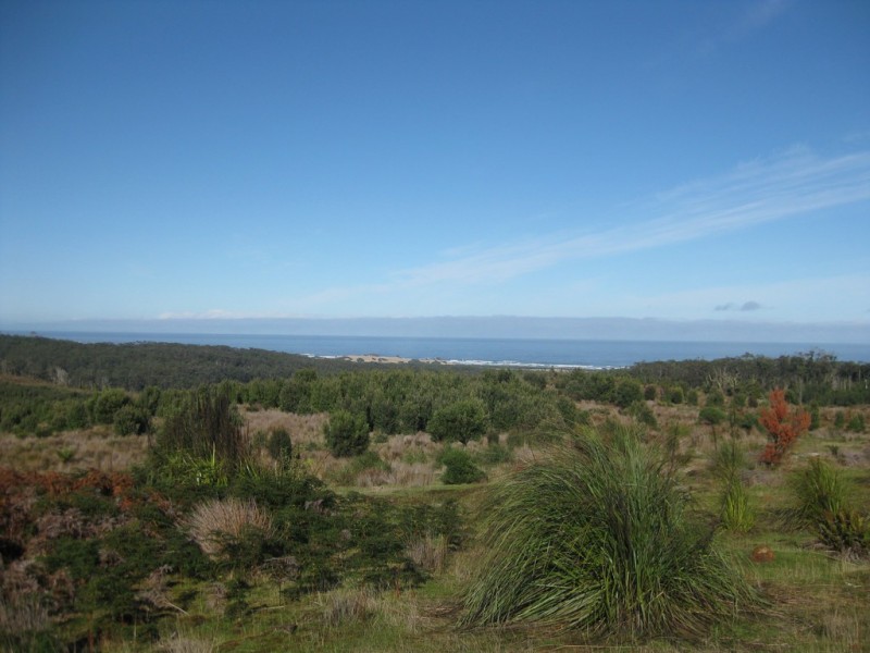 . Wilsons Road, Granville Harbour TAS 7469