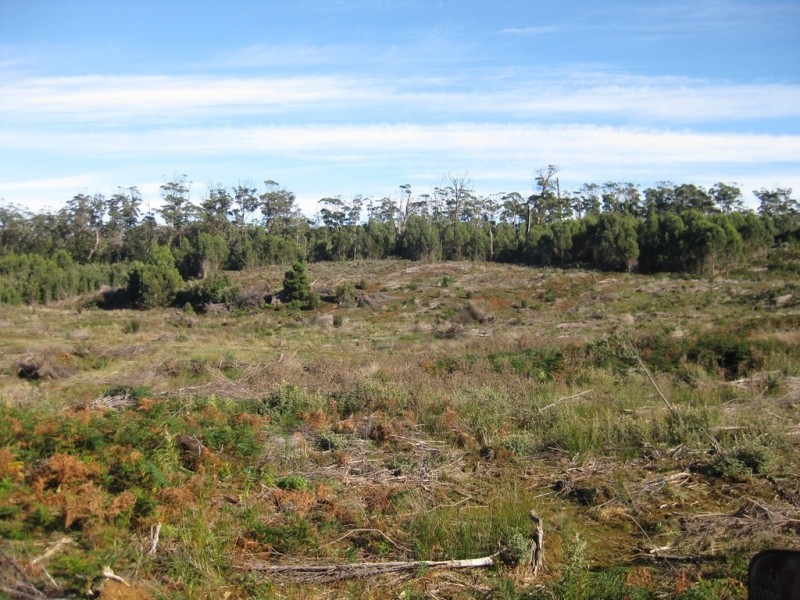 . Wilsons Road, Granville Harbour TAS 7469