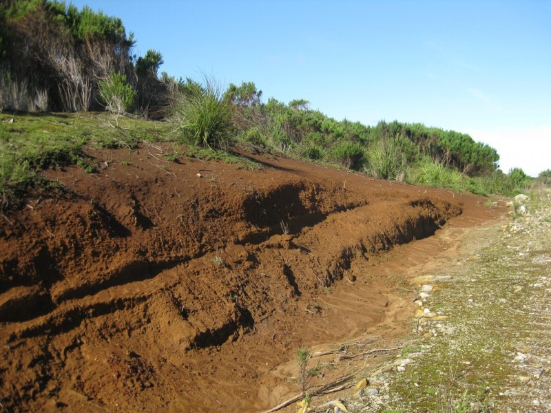 . Wilsons Road, Granville Harbour TAS 7469