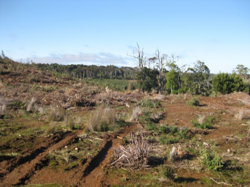 . Wilsons Road, Granville Harbour TAS 7469