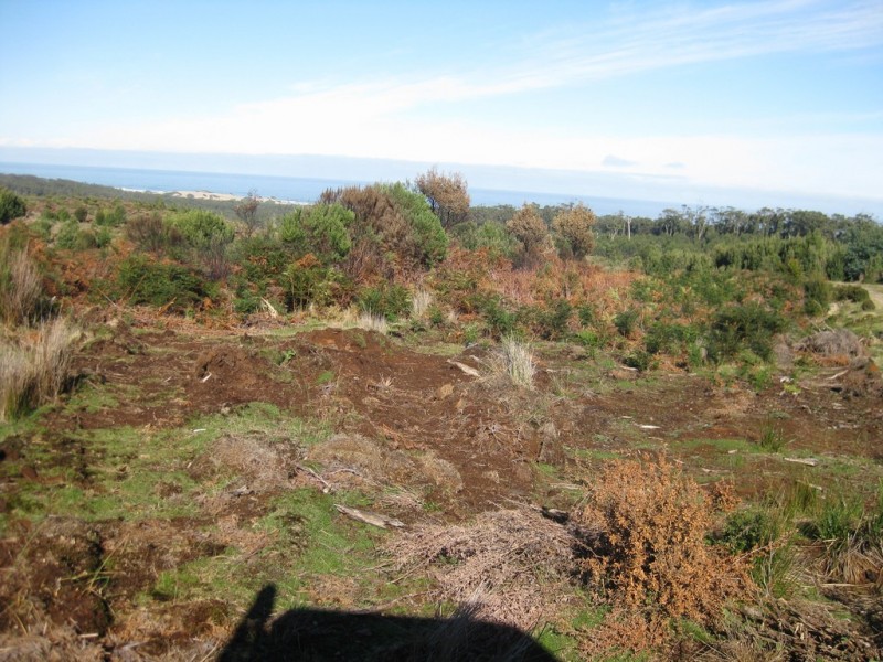 . Wilsons Road, Granville Harbour TAS 7469