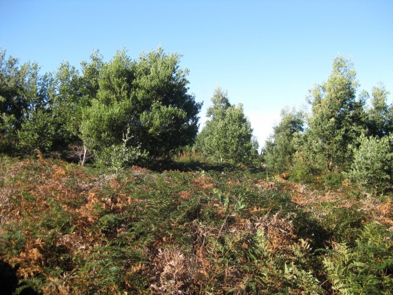 . Wilsons Road, Granville Harbour TAS 7469