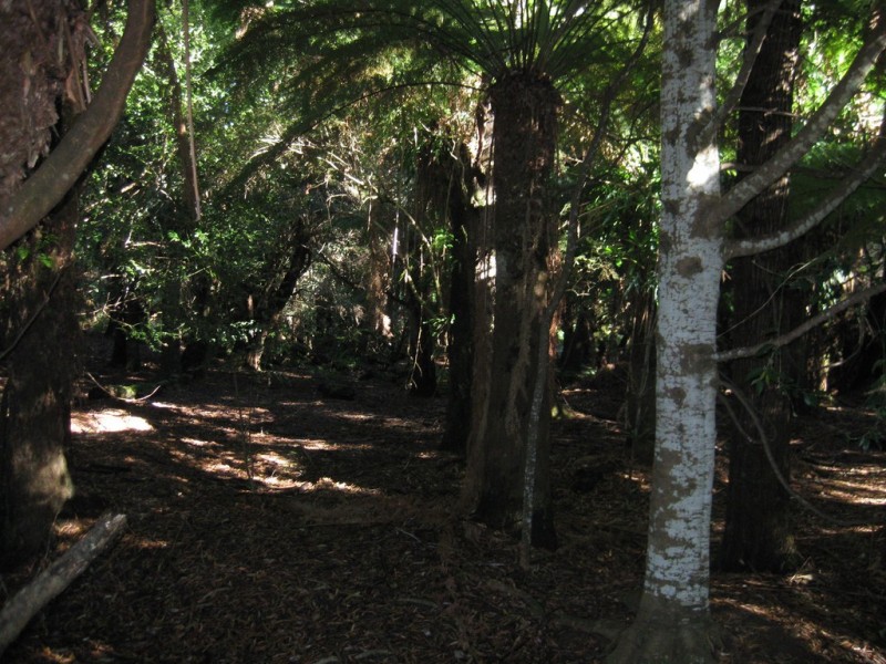 . Wilsons Road, Granville Harbour TAS 7469