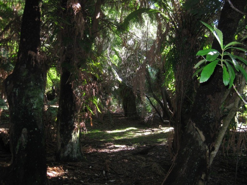 . Wilsons Road, Granville Harbour TAS 7469