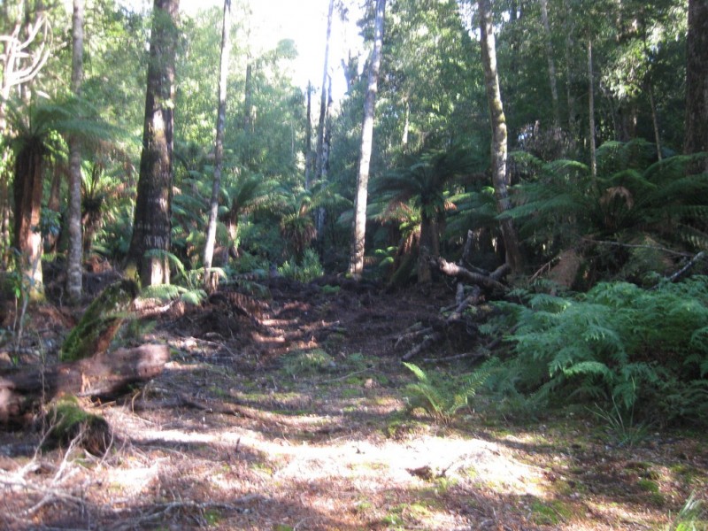 . Wilsons Road, Granville Harbour TAS 7469