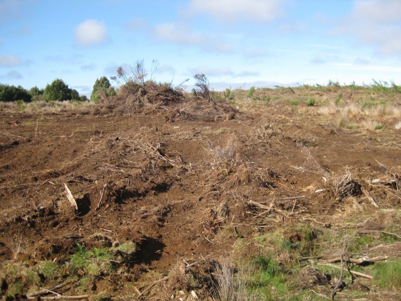 . Wilsons Road, Granville Harbour TAS 7469