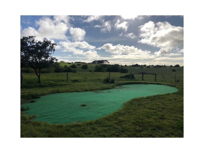 168 Cape Wickham Road, Wickham TAS 7256