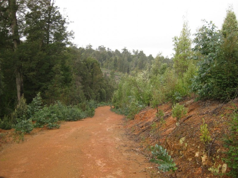 . Roger River Road, Roger River TAS 7330