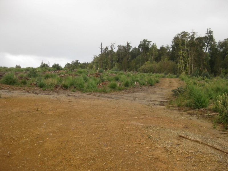 . Roger River Road, Roger River TAS 7330