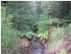 . Roger River Road, Roger River TAS 7330