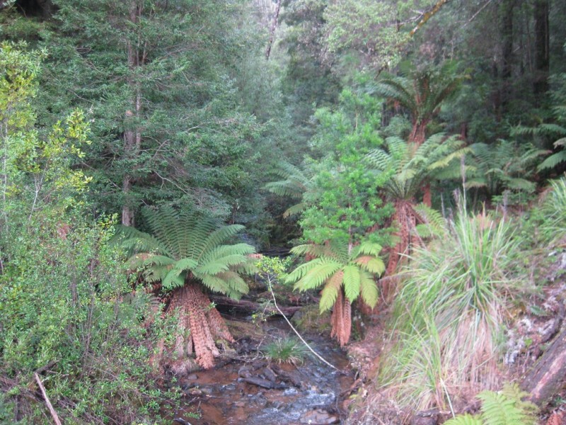 . Roger River Road, Roger River TAS 7330