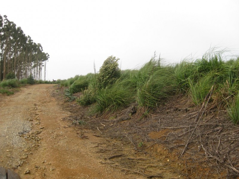 . Roger River Road, Roger River TAS 7330