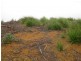 . Roger River Road, Roger River TAS 7330