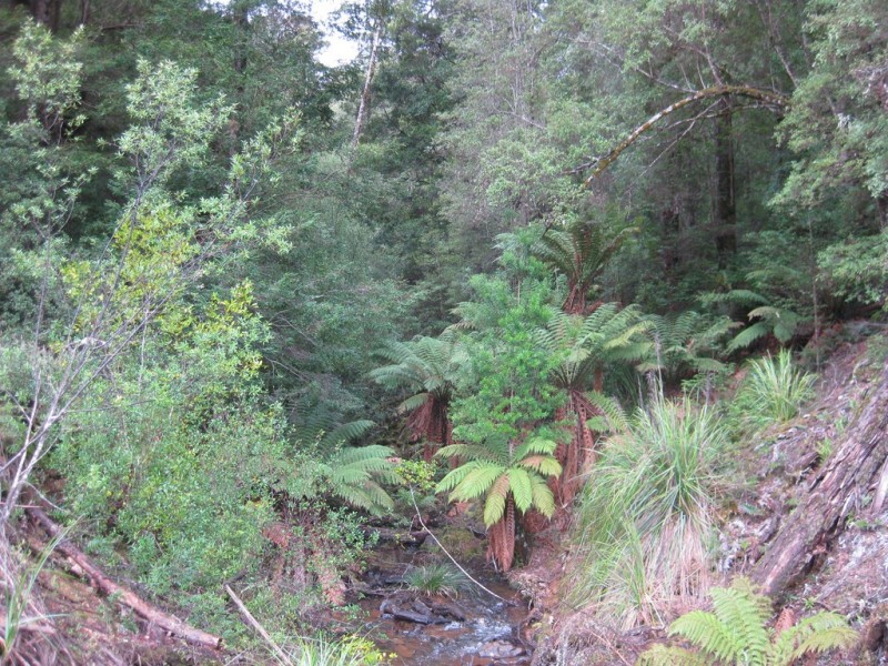 . Roger River Road, Roger River TAS 7330